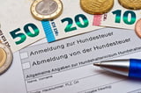 Hundesteuer in Sachsen-Anhalt: Wer zahlt wie viel?